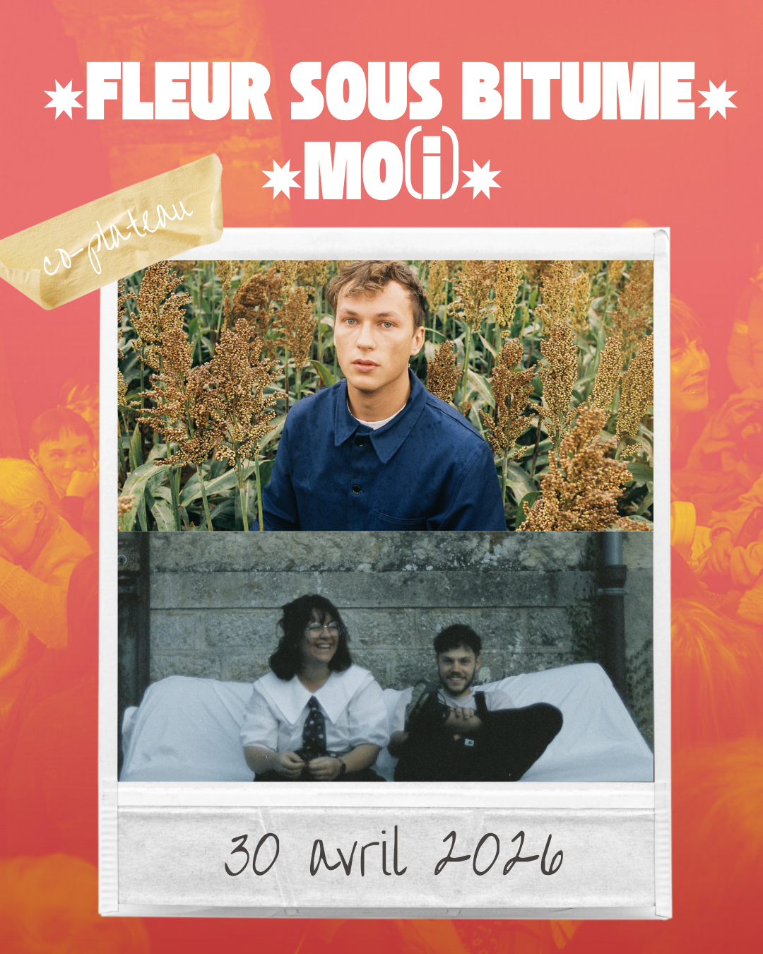 Fleur sous bitume + Mo(i) | Co-plateau